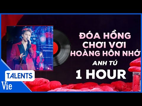 [1 HOUR] Đoá Hồng Chơi Vơi - Hoàng Hôn Nhớ | Anh Tú đầy da diết tại Sóng 24 - 25