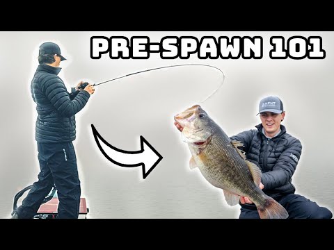 Pre-Spawn Bass Fishing MASTERCLASS! (Bass Behavior Ep. 1)