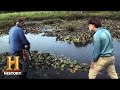Oak Island Exploration and Discoveries