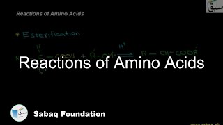 Reactions of Amino Acids