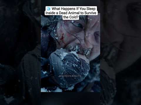๐ง What Happens If You Sleep Inside a Dead Animal to Survive the Cold?#shorts