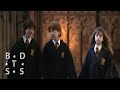Friendship and Insults Reflection