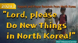 News and Prayer Requests from North Korea (March 2024)