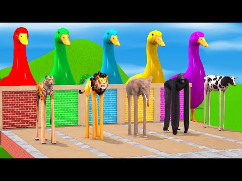 5 Giant Duck Cartoon, Cow, Elephant, Ferdinand, Gorilla, Lion, Transfiguration funny animals 2024