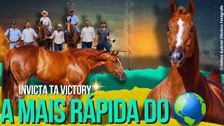 INVICTA TA VICTORY a égua QM mais rápida do mundo nos Três Tambores é do Brasil, é do Rancho Tavares
