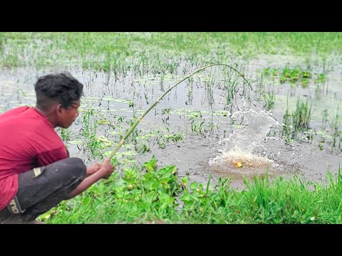 Fishing Video || If you learn fishing from village boy, you will be able to catch fish very easily.