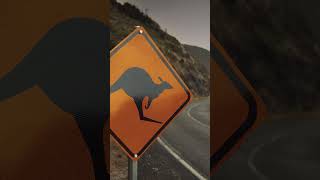 [Audi] 王者再来：Audi R8 LMP “Crocodile” : #WeRaceForProgress #Audi #アウディ