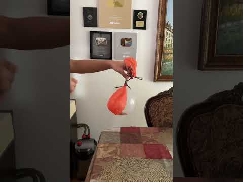 How to pop balloons
