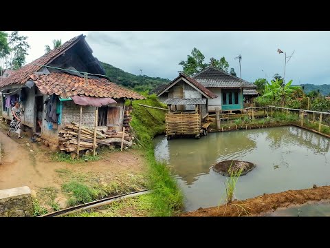 BETAH BANGET !! SUASANA SORE HARI INI DI PERKAMPUNGAN DI PEGUNUNGAN PELOSOK TASIKMALAYA