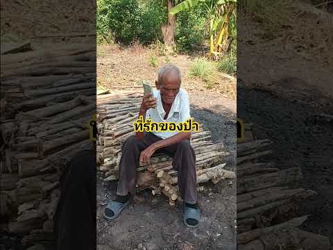 ที่รักของป๋า #ตลก #funny