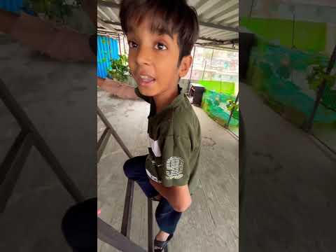 Trap karke fancy kabutar pakad liya talha ne 12 lakh wala 😂😂😂 | Talha Ali Vlogs