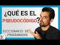 Conceptos Clave del Pseudocódigo