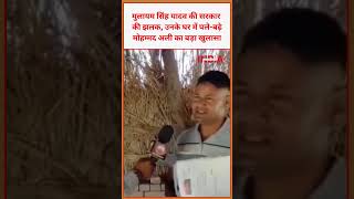 मुलायम सिंह  की सरकार की झलक: उनके घर में पले-बढ़े मोहम्मद अली का बड़ा खुलासा #yadav #viral #video