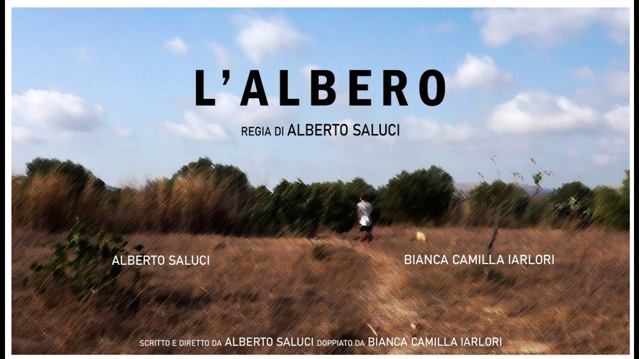 Alberto_Saluci_Videomaker