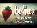 Understanding Perceptions in Strawberry Fields