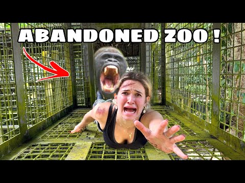 I FOUND AN ABANDONED ZOO !