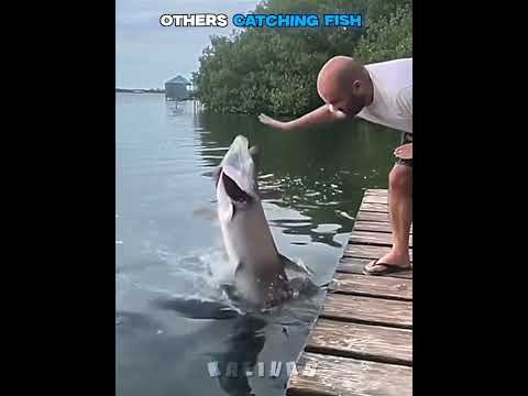 Others Catching Fish