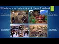 Social Stratification and Family Possessions