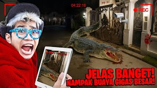 Beneran Nyata BUAYA GIGAS Ngamuk di kamera CCTV Depan Rumah! SEMUA KETAKUTAN!
