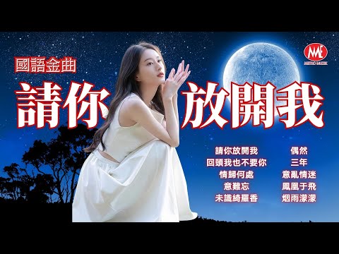 【國語金曲】請你放開我丨回頭我也不要你丨情歸何處丨意難忘丨未識綺羅香丨偶然丨三年丨意亂情迷丨鳳凰于飛丨烟雨濛濛 Mandarin Oldies (歌詞版)