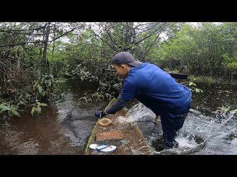 DETIK-DETIK KARAMNYA SAMPAN AKIBAT MONSTER 14KG DAN SERANGAN IKAN-IKAN BESAR !!