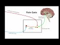 TENS Treatment and Techniques