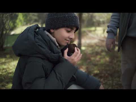 Land Rover Discovery | Never Stop Discovering | Explore Yarra Valley, Victoria with Sarah Todd
