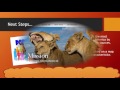 Geographic Information Systems Concepts