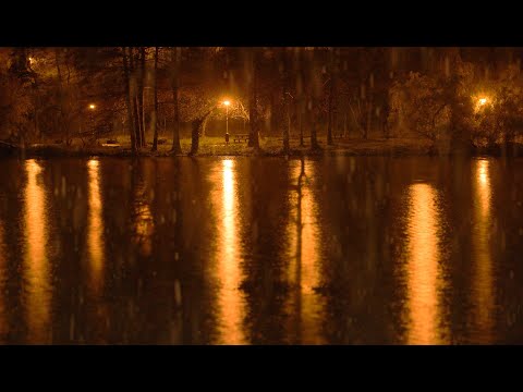 Relaxing Sounds of Rain Near the Lake in the Quiet Park at Night - 10 Hours for Relaxation and Sleep