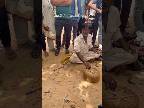 बंगाली जादूगर ने टोकरी से निकाला दो कबूतर 😱 #shorts