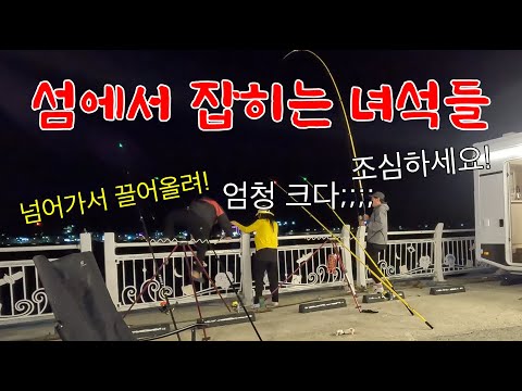 30분이면 도착하는 섬에서 낚시해봤는데 비싼 물고기만 나와요.. 근데 왜 아무도 낚시를 안 하지? 꼭 가보세요!