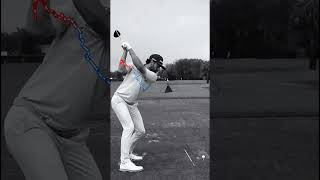 Cameron Young amazing right elbow move. Driver #golf #golfswing #bestgolf #alloverthegolf