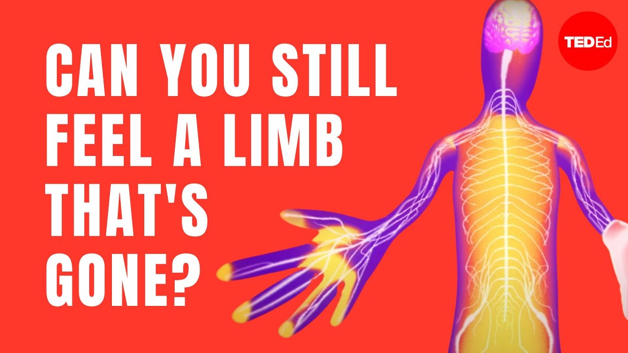 The fascinating science behind phantom limbs - Joshua W. Pate