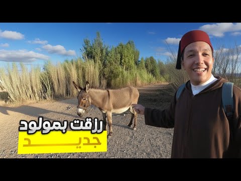 #VLOG175 | وآخيراً رزقت بمولود جديد‼️😍