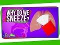 Understanding Sneezing: A Biological Perspective