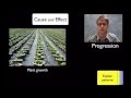 Understanding Cause and Effect