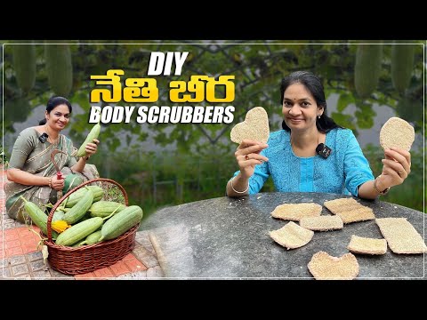 వోళ్ళు తోముకునే పీచులు చేసుకుందాం/Diy luffa body scrubbers @MADGARDENER