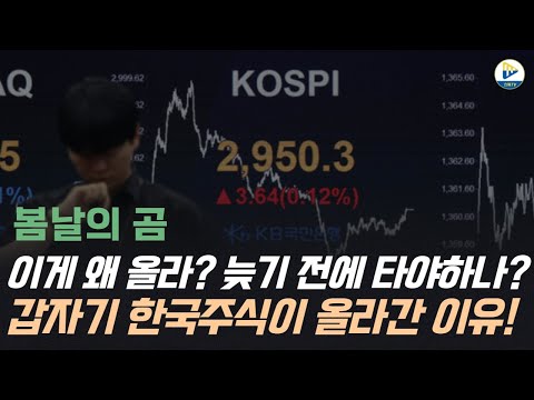 (봄날의 곰)이게 왜 올라? 늦기 전에 타야 하나?갑자기 한국주식이 올라간 이유!