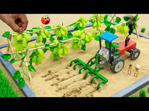 Diy mini tractor making modern cultivator and land leveler machine for agriculture