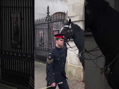 The MOST Handsome Guard Comes To Check on Horses! #thekingsguard