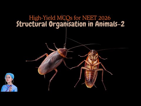 High-Yield MCQs for NEET 2026 | Structural Organisation in Animals-2 | by Shiksha House