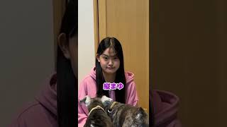 3姉妹で役に立たない特技選手権www#Shorts