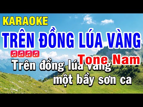 Karaoke Trên Đồng Lúa Vàng Nhạc Sống Tone Nam Cha Cha Cha Huỳnh Anh