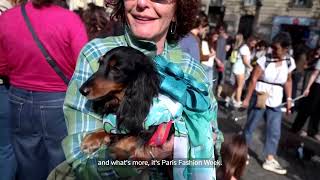 YouTube video thumbnail: Dachshunds Strut in 'Sausage Walk' During Paris Fashion Week