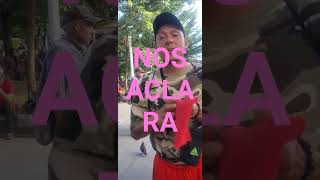 JOELITO DICE QUE SI SE PUEDE PERO EN ORDEN