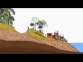Importância das Matas Ciliares