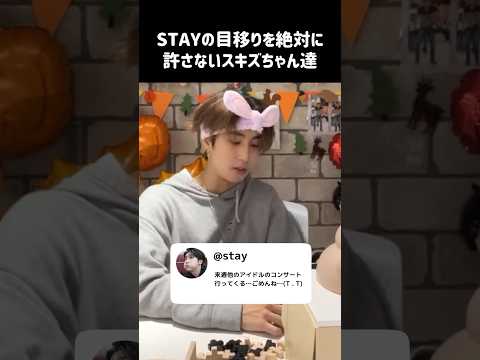 〈stray kids〉STAYの目移りを絶対に許さないスキズちゃん達 #straykids #スキズ