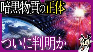 【最新研究が発表】地球を貫いた「ありえない粒子」の正体が暗黒物質だった！？【常識崩壊】