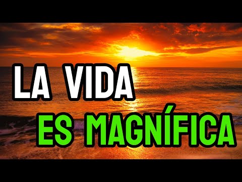 La vida es BELLA | Reflexiones de Vida para Ti