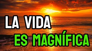 La vida es BELLA | Reflexiones de Vida para Ti
